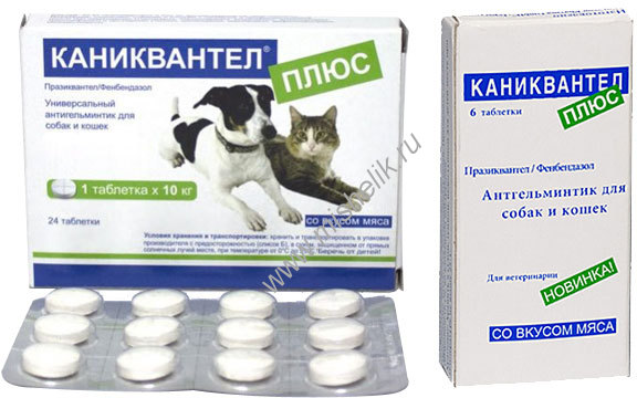 Можно кошкам давать слабительное. Каниквантел 500 мг для собак. Каниквантел на 10 кг. Каниквантел плюс для кошек. Глистогонные таблетки для собак.